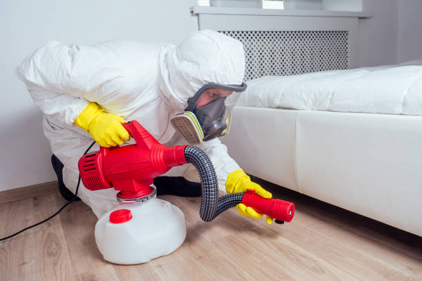 Best Pest Control Near Me  in Holley, FL
