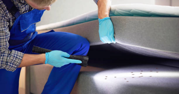 Best Flea Control Services  in Holley, FL