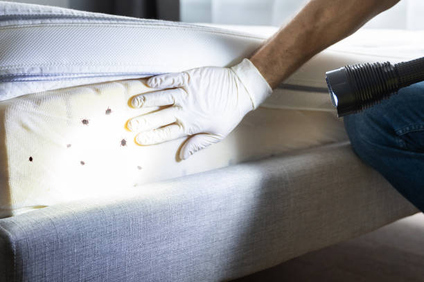 Best Commercial Pest Control Services  in Holley, FL
